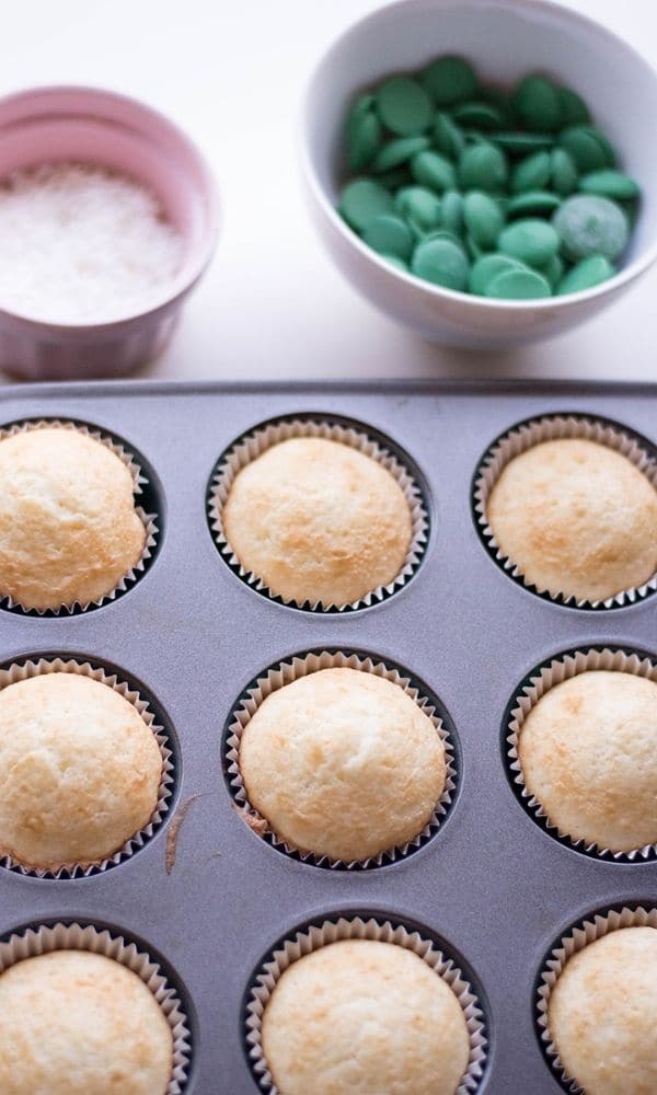 cupcakes in muffin tin with chocolate candy behind it