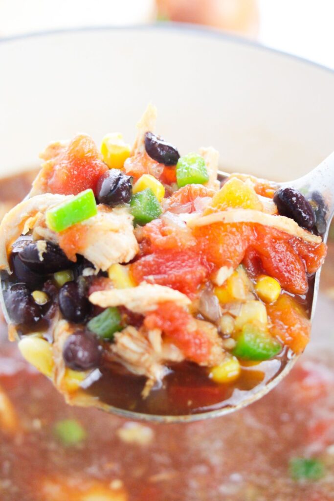 ladle with chicken tortilla soup